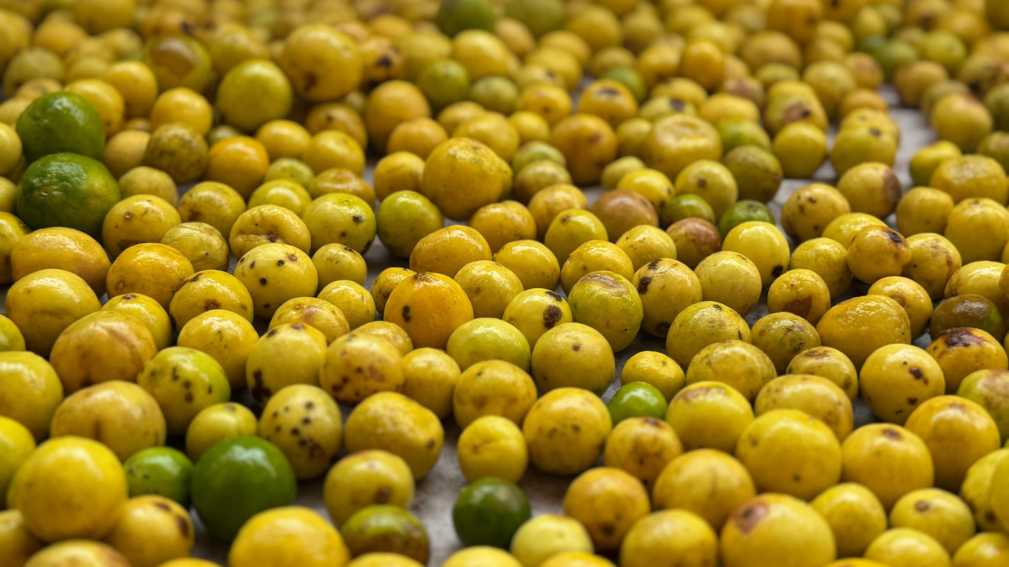 Lemon Pickle