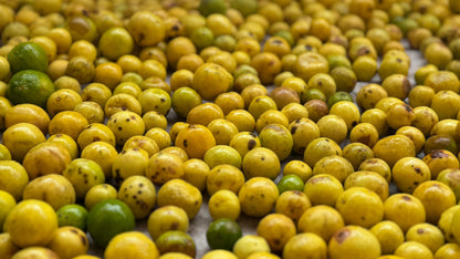 Lemon Pickle